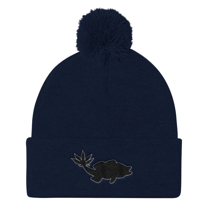 Pom CMBeenie