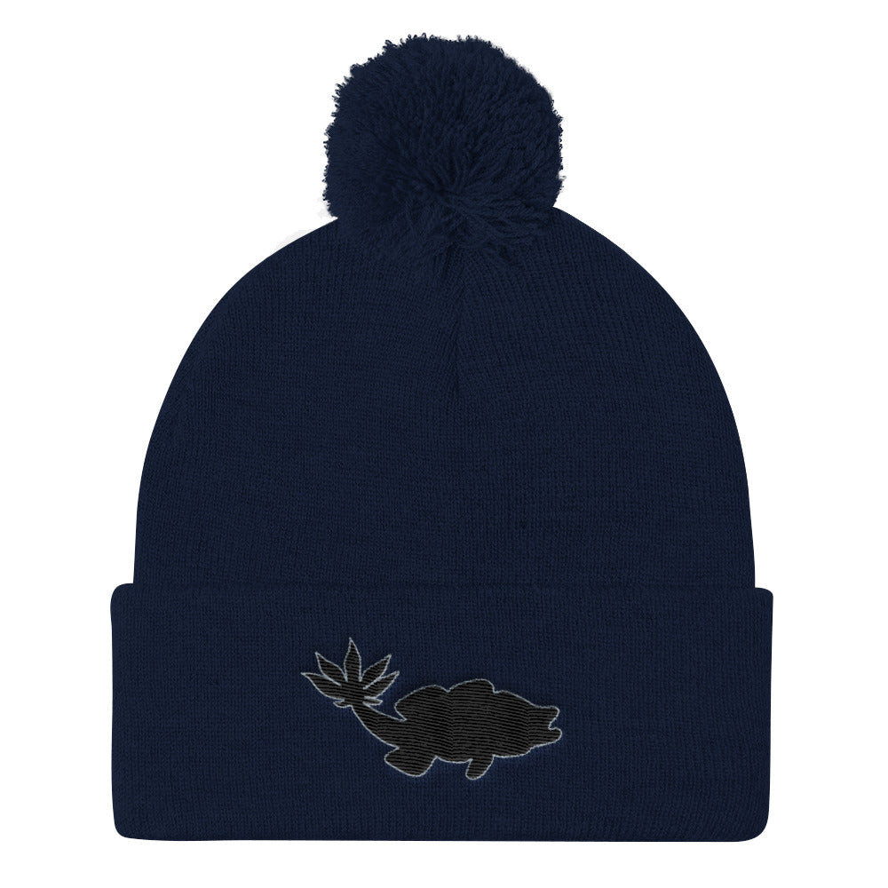 Pom CMBeenie