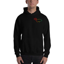Load image into Gallery viewer, Rasta FISH Hoodie