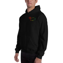 Load image into Gallery viewer, Rasta FISH Hoodie
